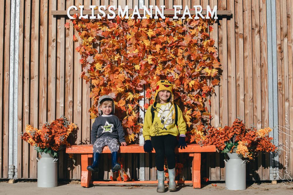 Clissman Farm Pumpkin Patch