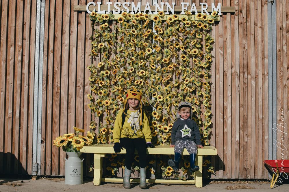 Clissman Farm Pumpkin Patch