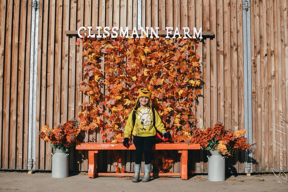 Clissman Farm Pumpkin Patch
