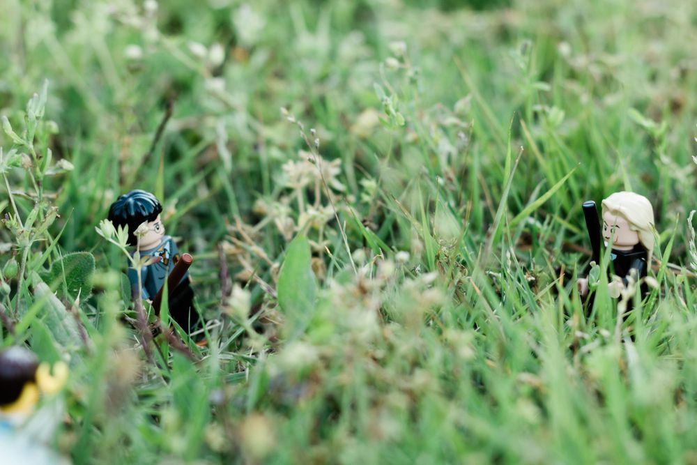 Lego creative photo Douglasville, GA