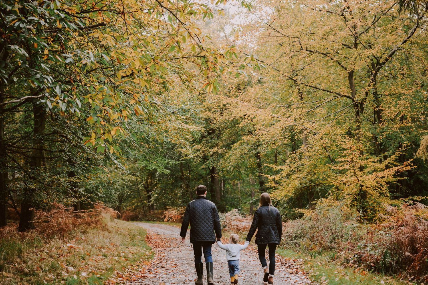 Two adults and a child walk hand in hand down an autumn forest path surrounded by golden leaves.