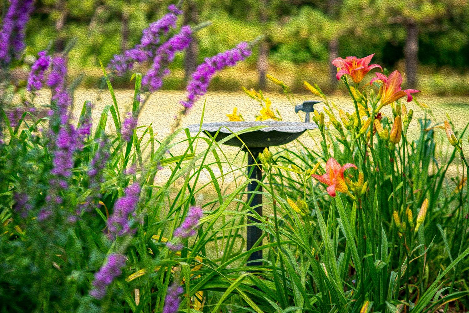 Garden with birdbath with painterly texture