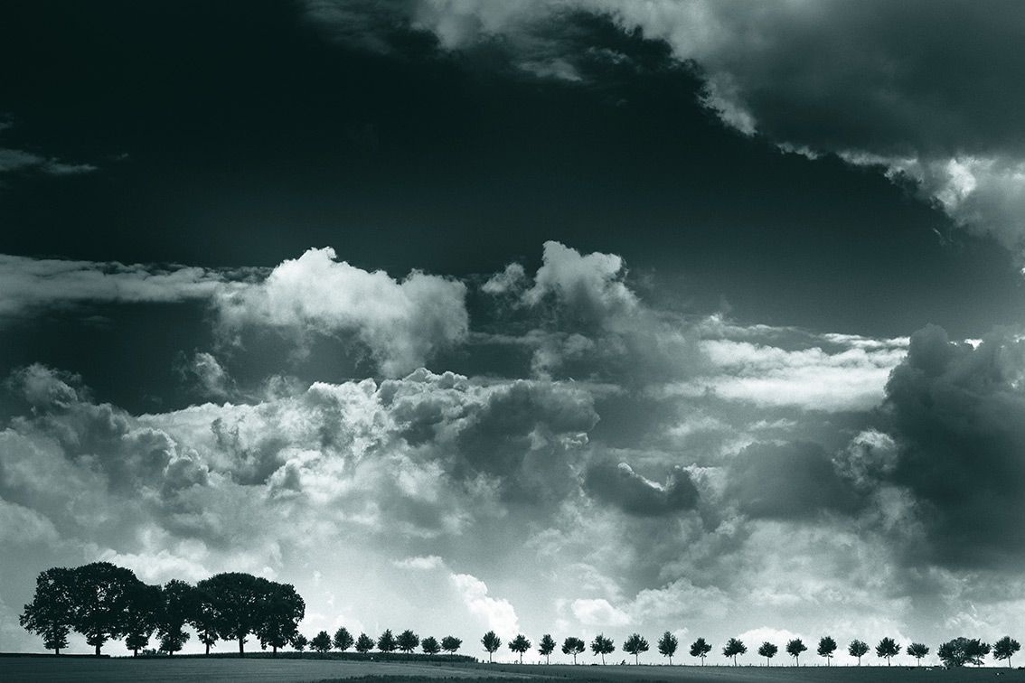 Row of trees, insignificant against the enormous cloud party