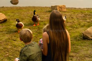 Family photos, fall photos, Mokelumne Hill CA, Gunnii Sack Photography