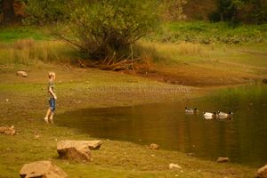 Family photos, fall photos, Mokelumne Hill CA, Gunnii Sack Photography