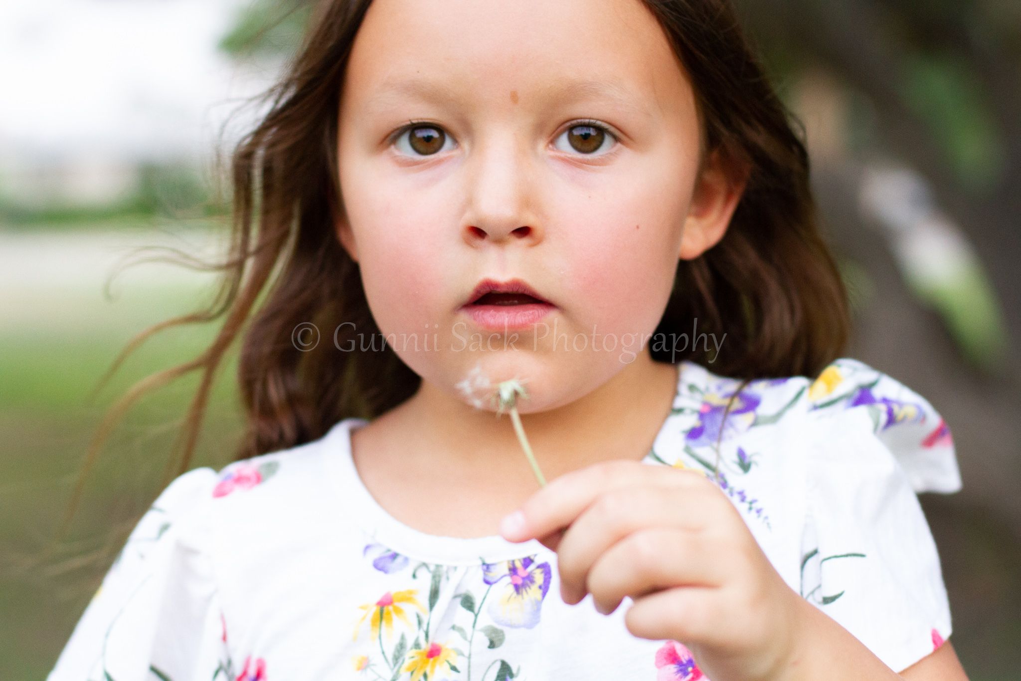 Gunnii Sack Photography, family photos, Amador County Photographer, make a wish