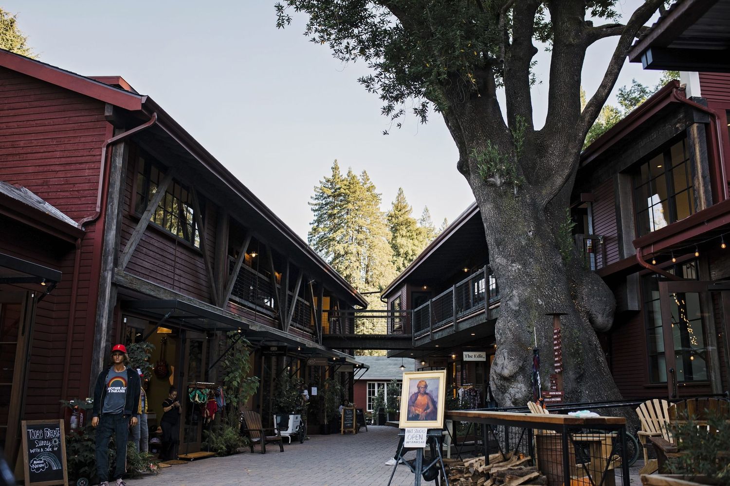 Downtown Mill Valley.
