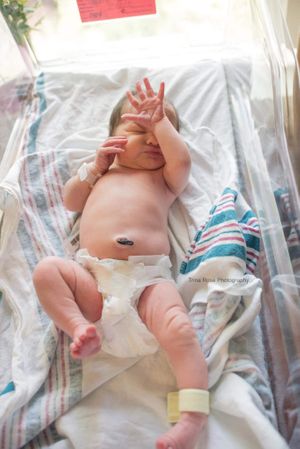 Newborn Hospital Photos