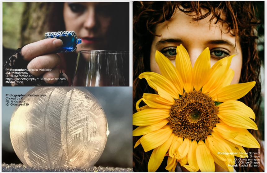 Editorial photo collage featuring sunflowers and artistic glass elements in natural lighting.