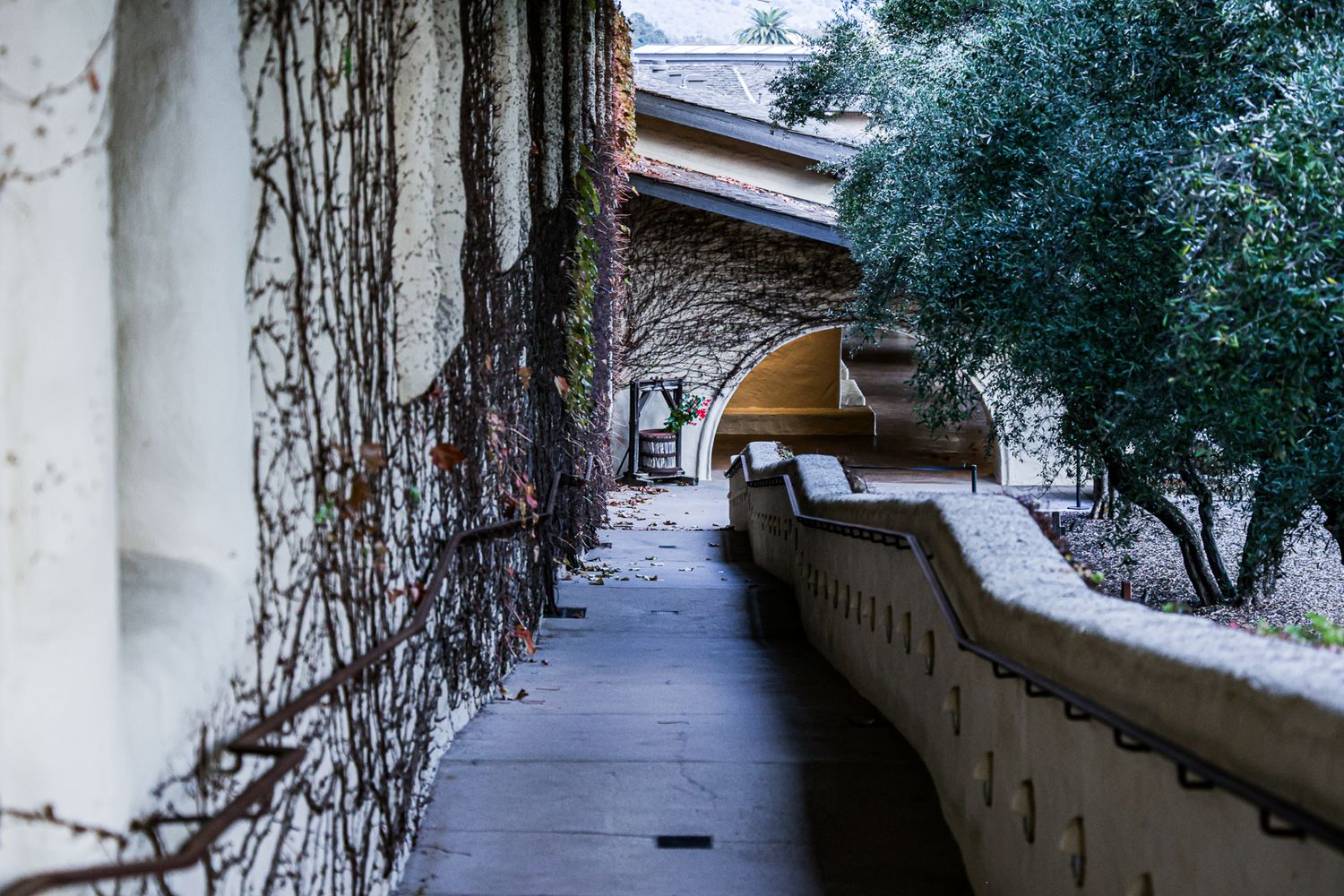 A curved walkway with vines growing on white walls leads through an arched passageway in a historic building.