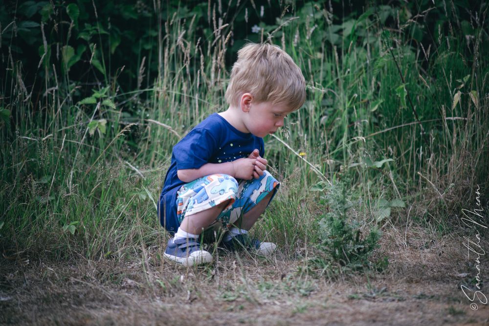 Mersea Nature Walk
