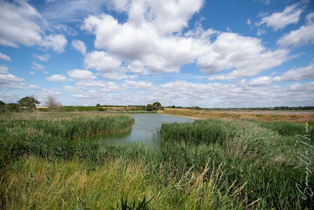 Mersea Nature Walk