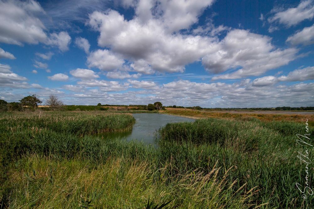 Mersea Nature Walk