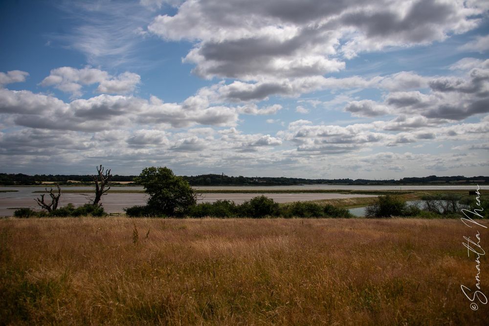 Mersea Nature Walk