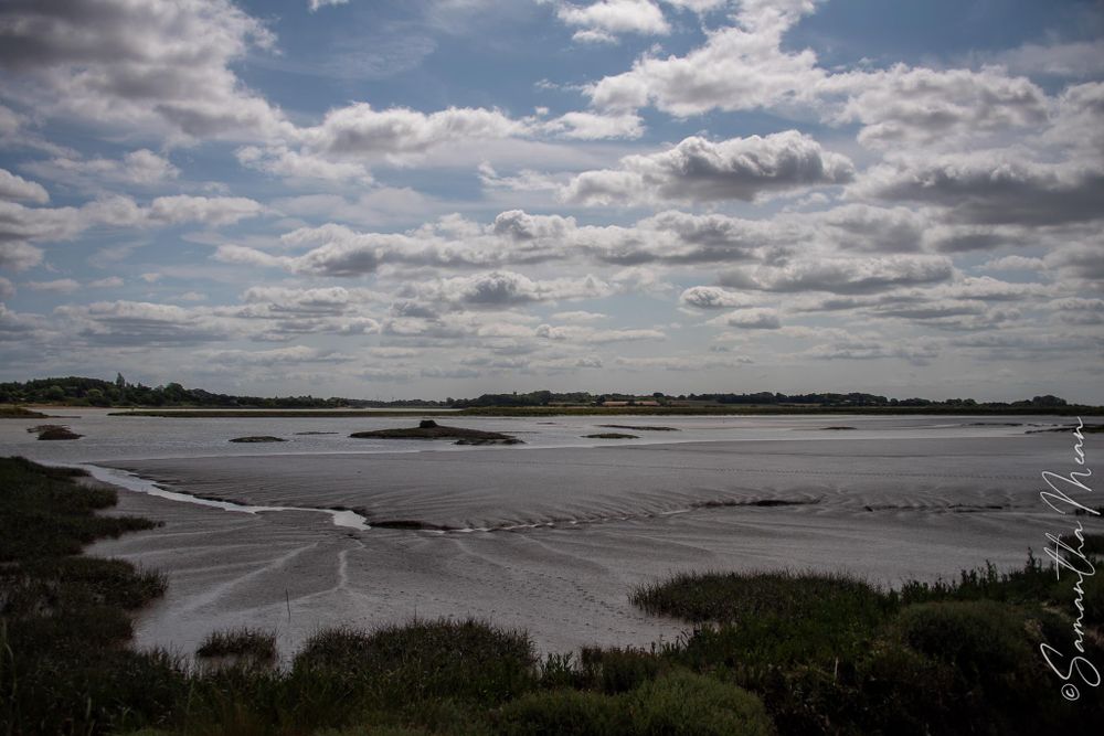 Mersea Nature Walk