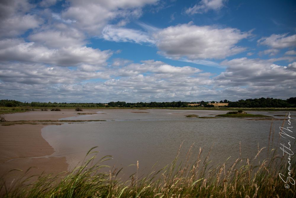 Mersea Nature Walk
