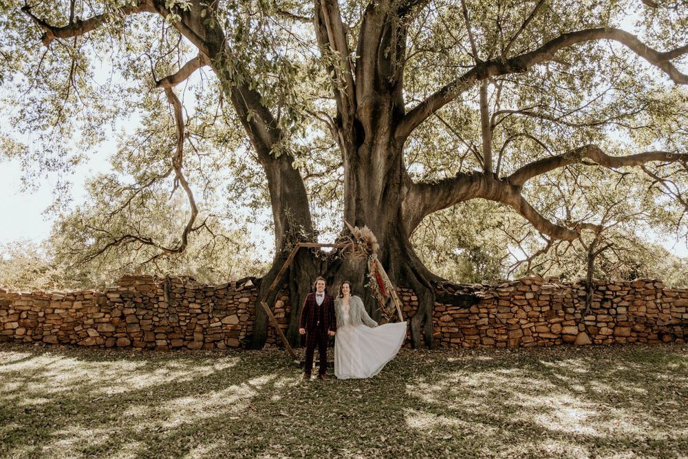 Bride and groom standing under a wild fig tree. Intimate Weddings at Intiem Weddings Gauteng