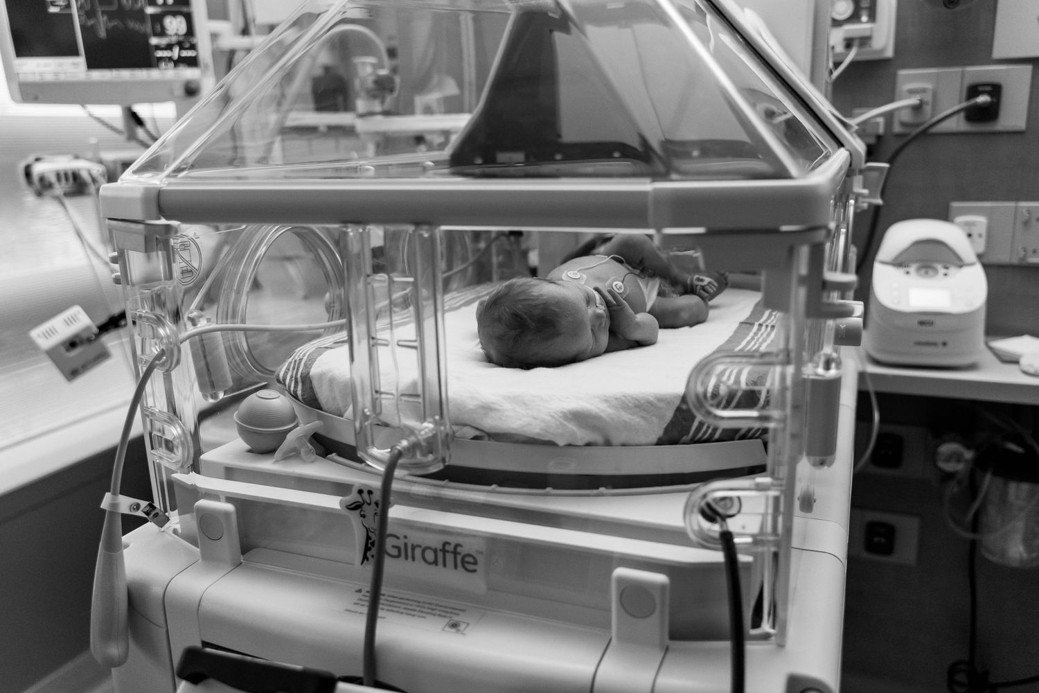 NICU Photos Rochester NY
