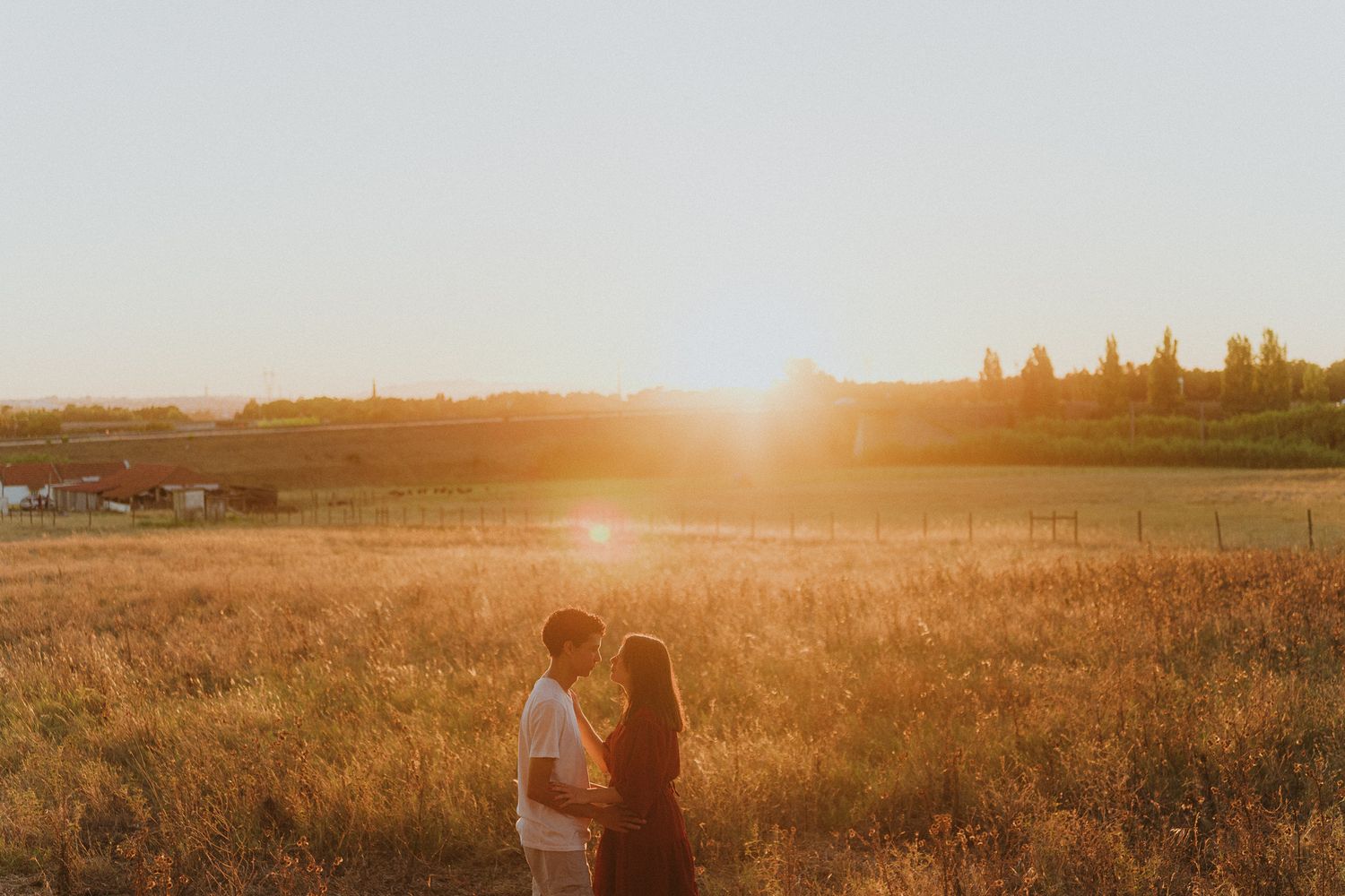 Golden sunlight illuminates a grassy field during sunset creating a romantic atmosphere.