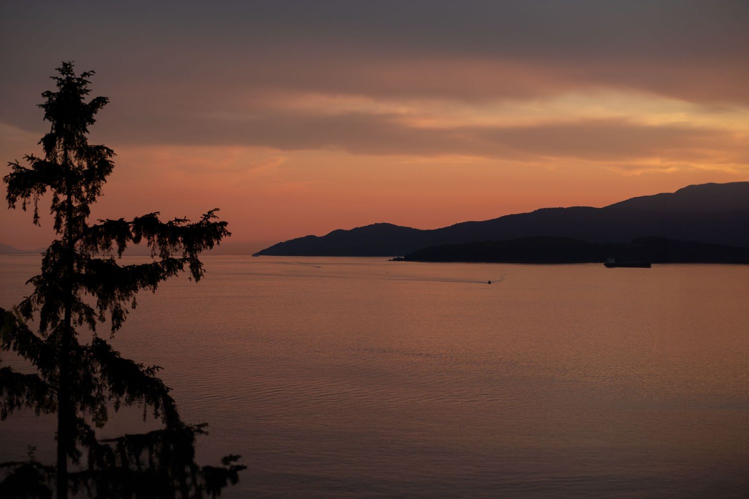 contact your photographer , professional family photography , family portraits , Vancouver