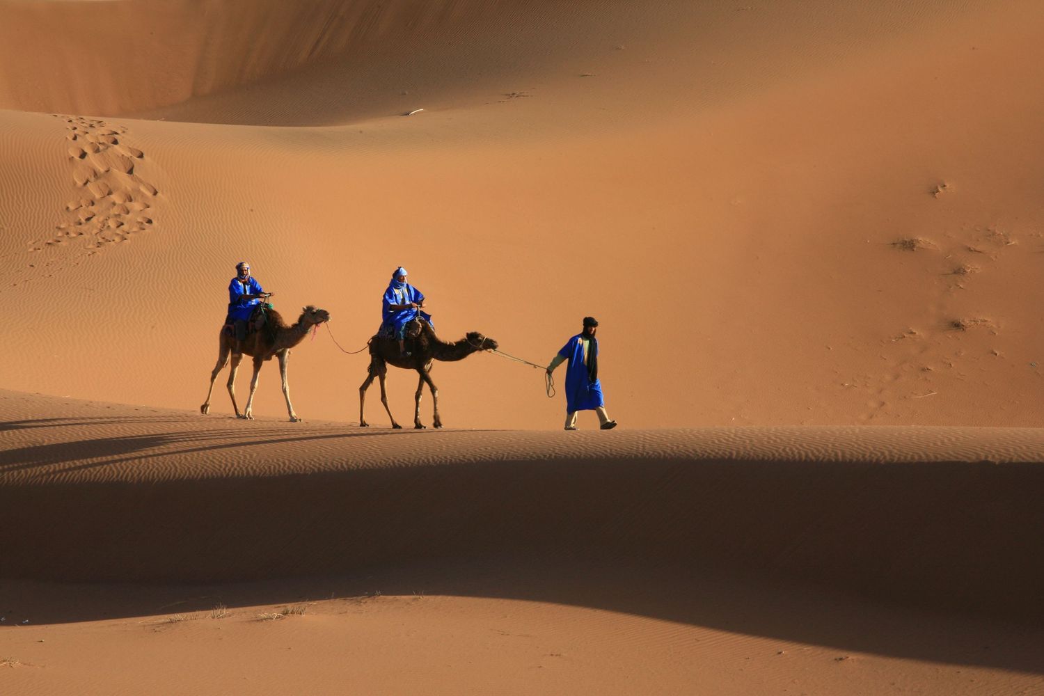 Camels in the Sahara, Morocco, Mauro Parmesani.