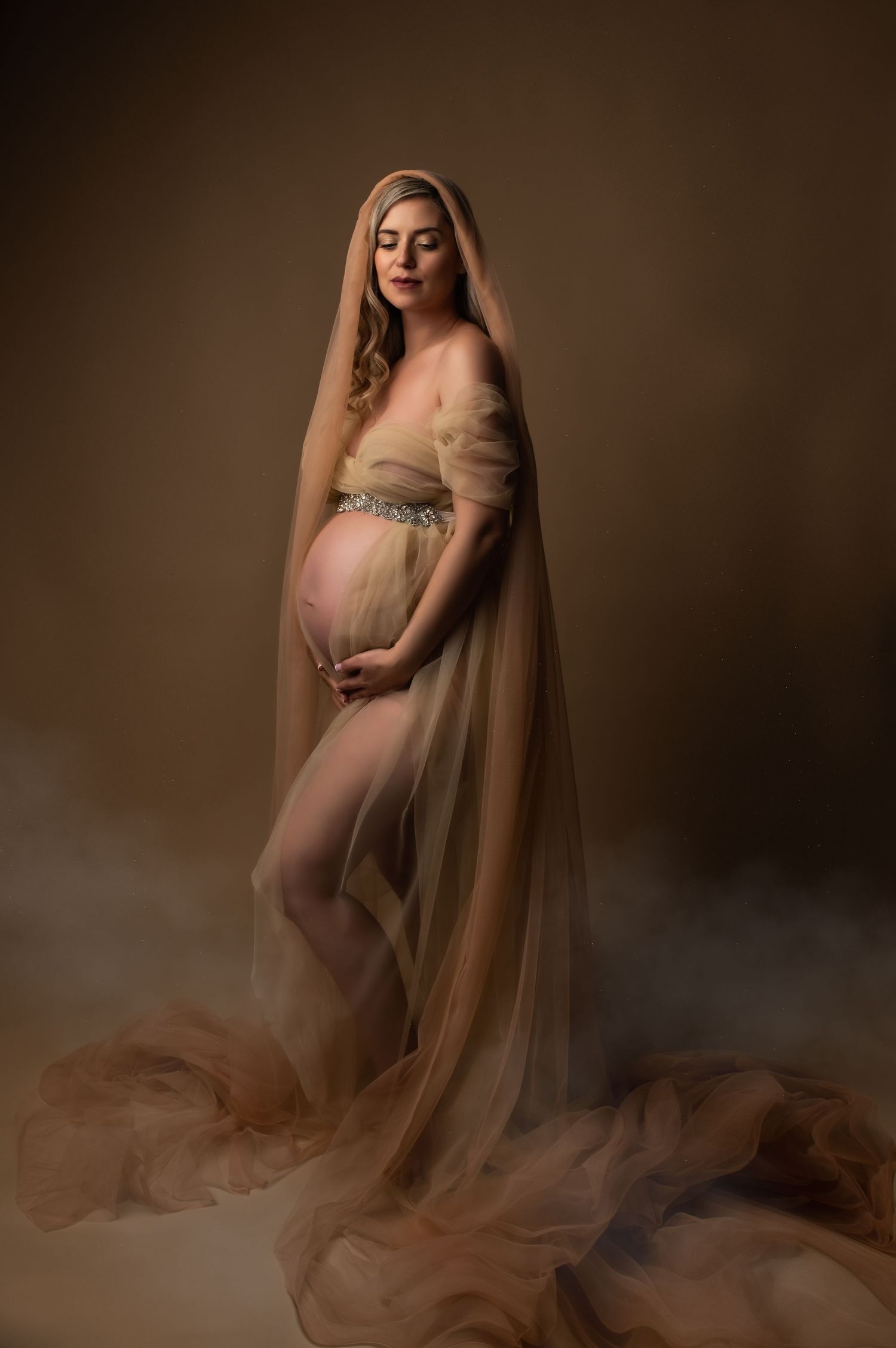 Artistic maternity portrait with flowing sheer fabric against dark brown background.