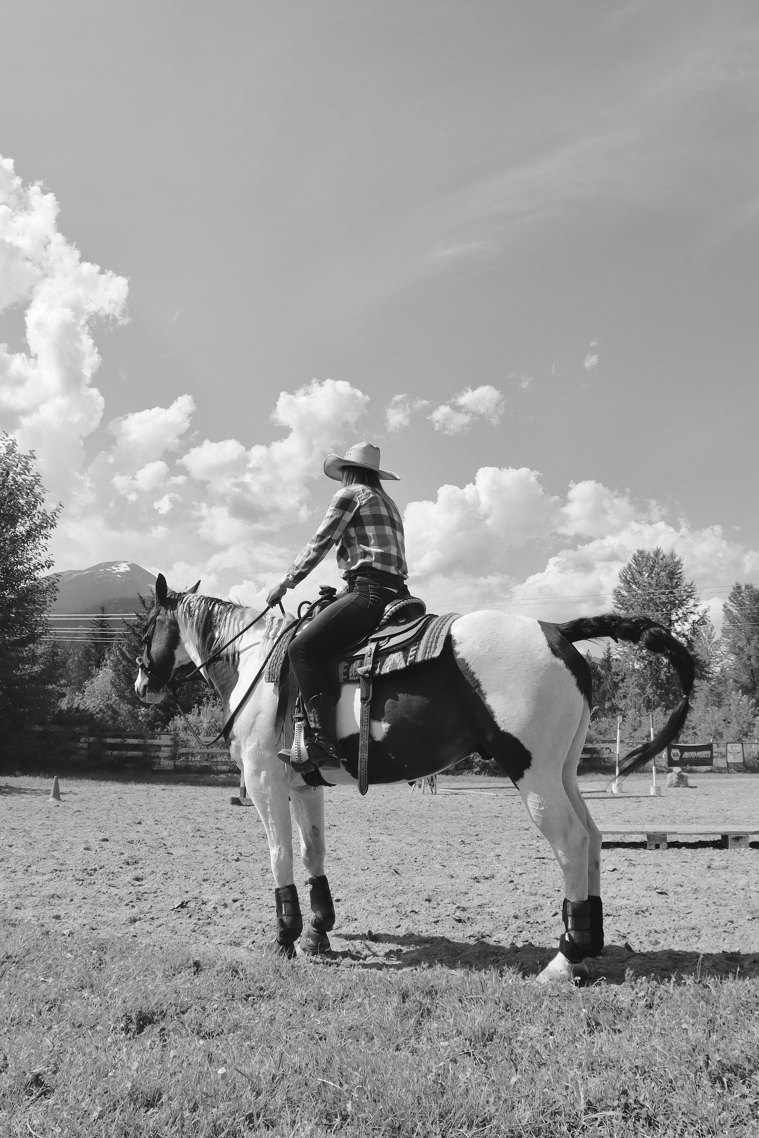 Woman Rider on Paint Horse Photo
