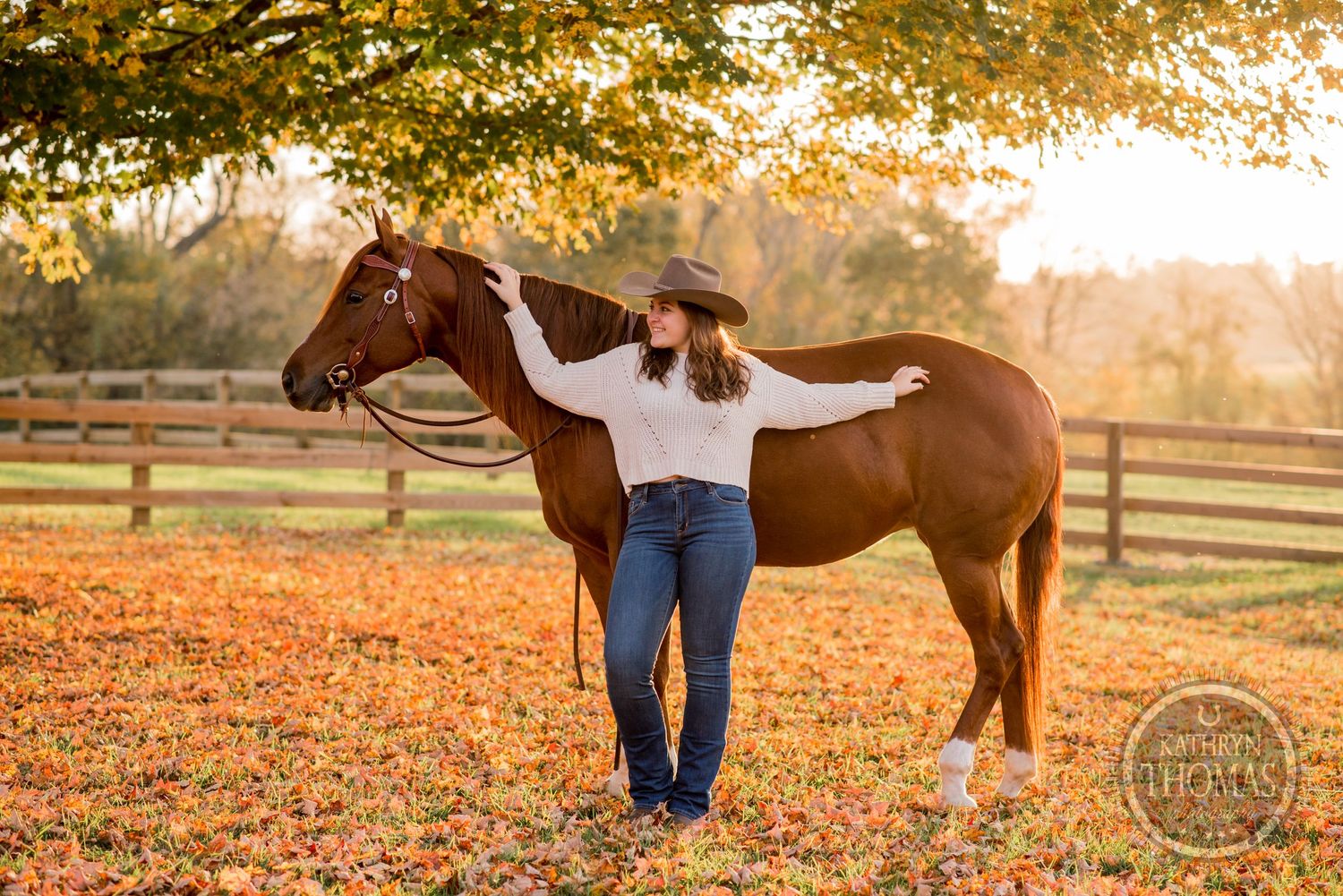 A brown horse and rider stand in a sunlit autumn pasture with wooden fencing.