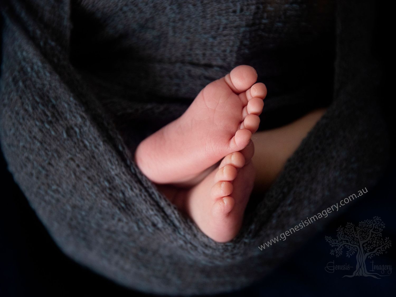 Macro photography of newborn toes and fingers by a Gold Coast specialist.