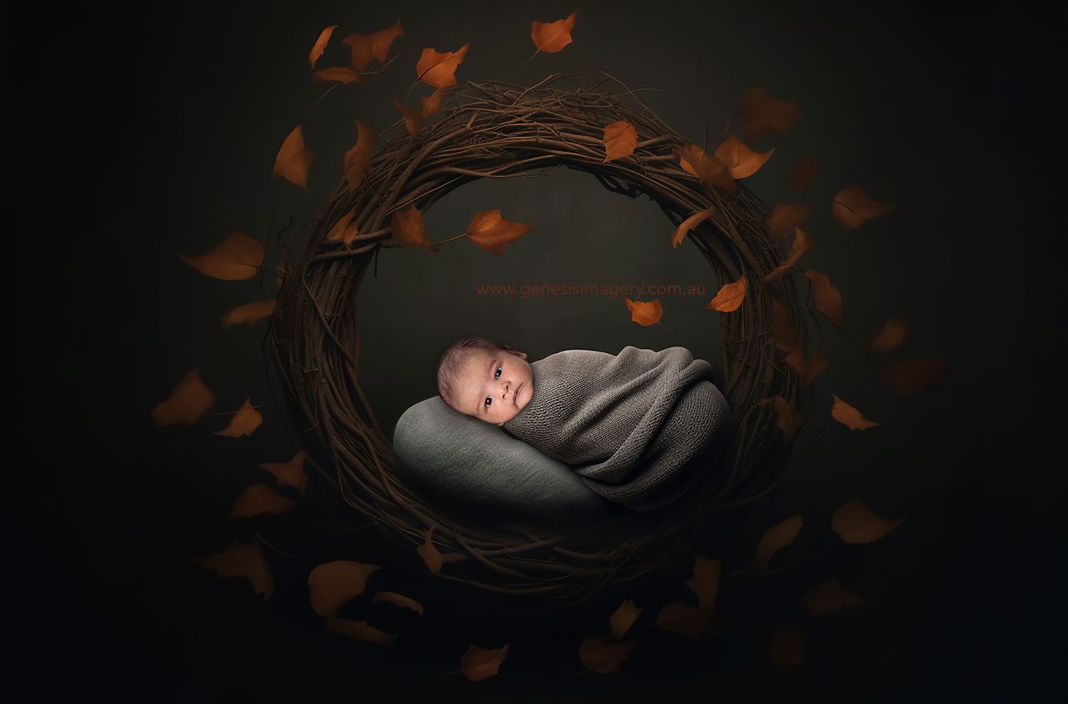 Expertly posed newborn in a heart-shaped prop for a luxury baby gallery.