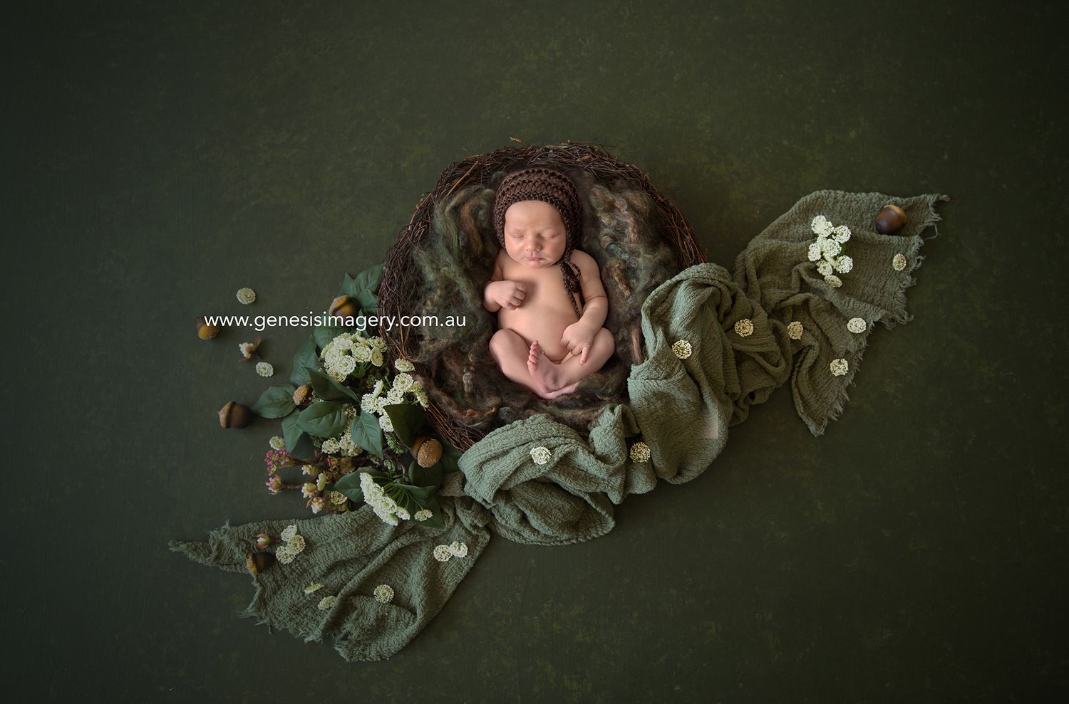 Newborn photography featuring soft, natural studio lighting.