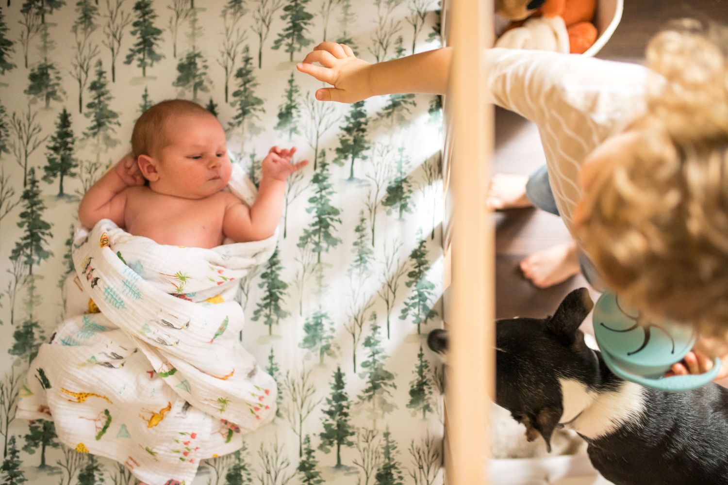 how do I prepare for my newborn session in home dc virginia