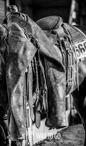 Chaps hanging from saddle black and white