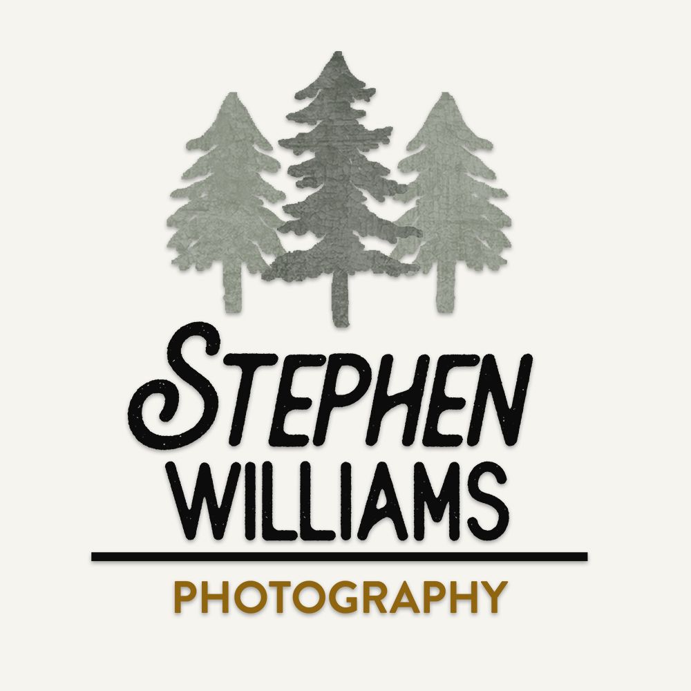 Minimalist logo design featuring three pine trees and text for Stephen Williams Photography.