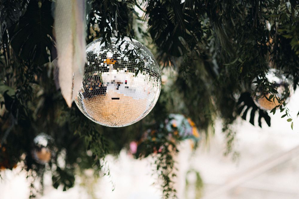 Disco ball hanging among green foliage creates a festive party atmosphere.