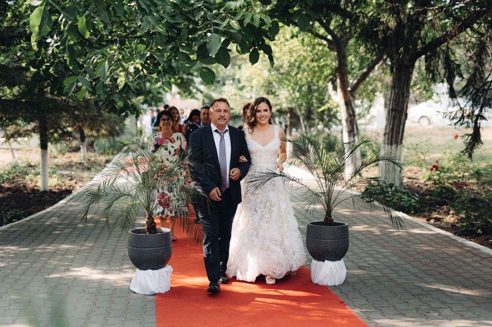 Wedding processional on red carpet walkway decorated with potted plants.