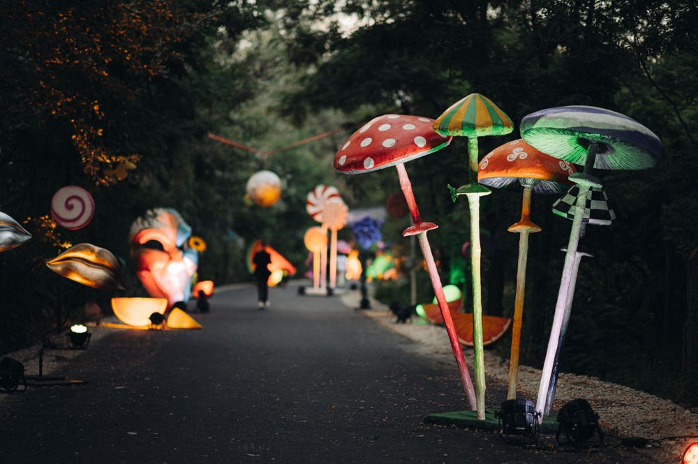 Colorful illuminated mushroom sculptures line a dark outdoor path.