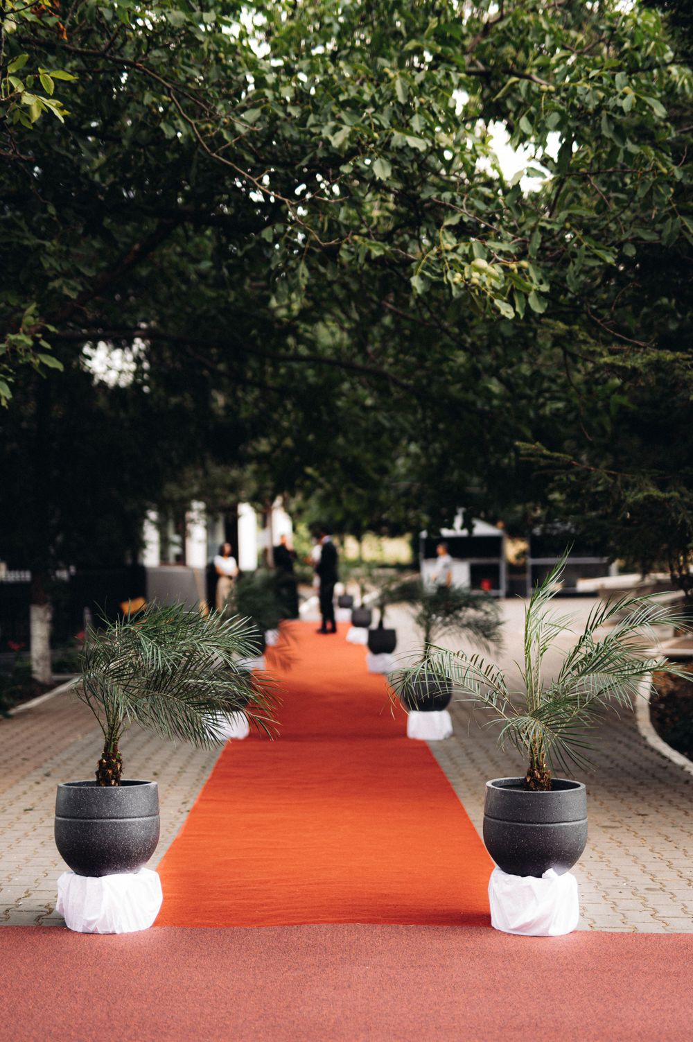 Red carpet wedding aisle lined with potted palm plants under tree canopy.
