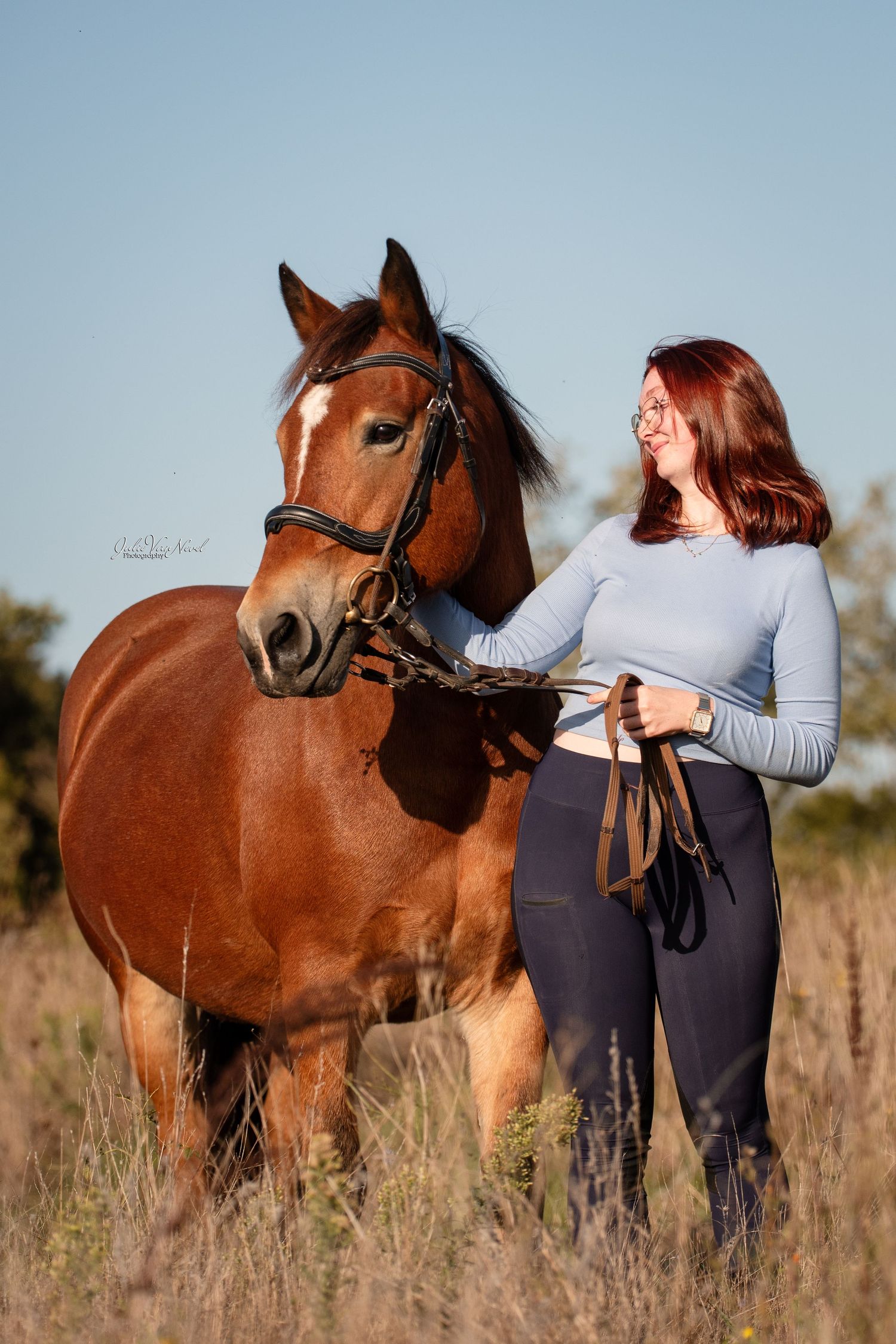 Cheval et sa cavalière