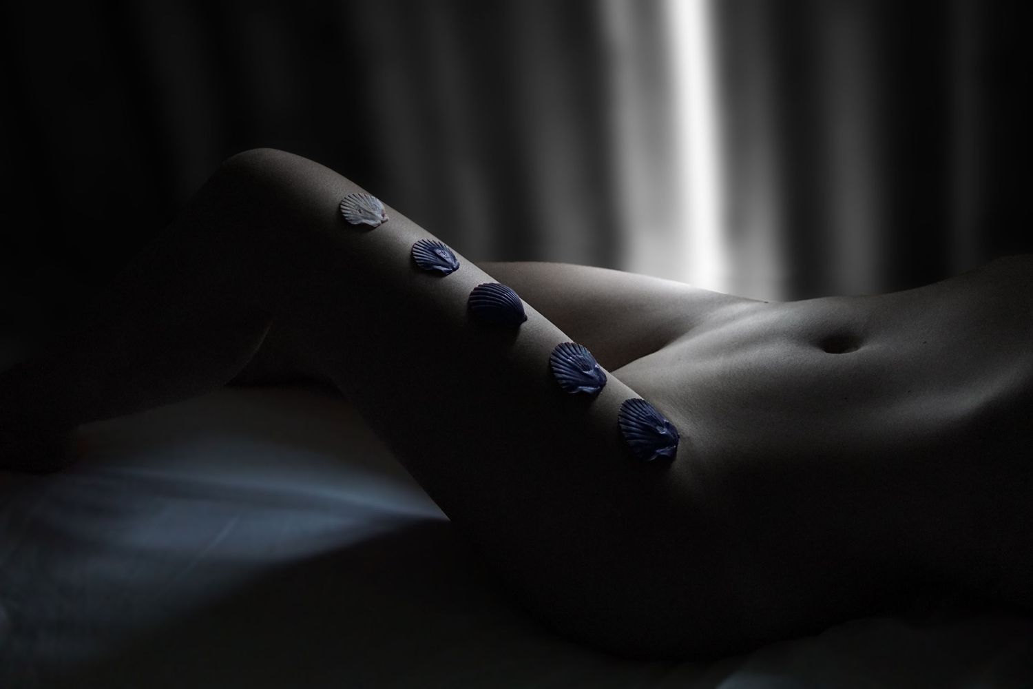 Minimalist body art photography with shells on a flat belly in low-key lighting.