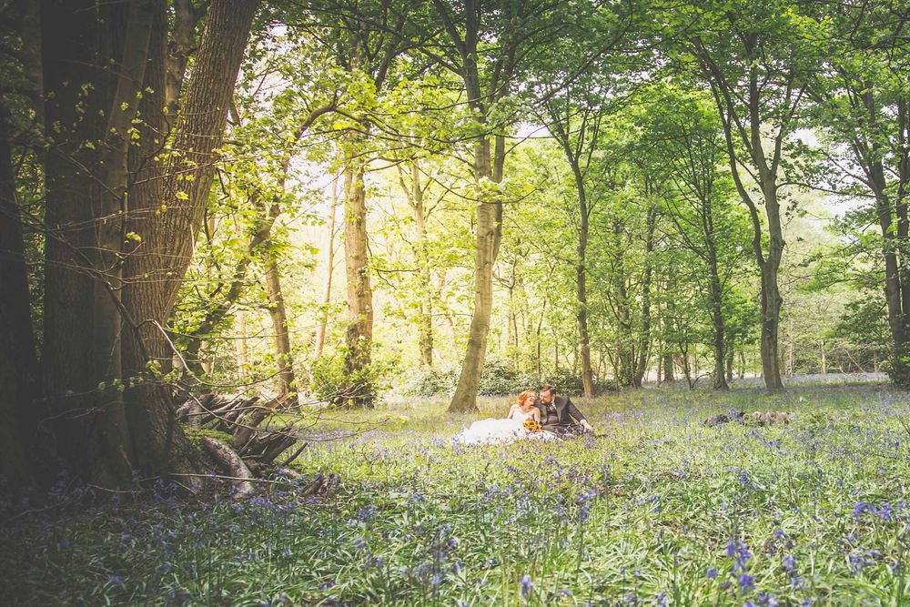 Bride and groom sitting in blue bells at rufford abbey wedding