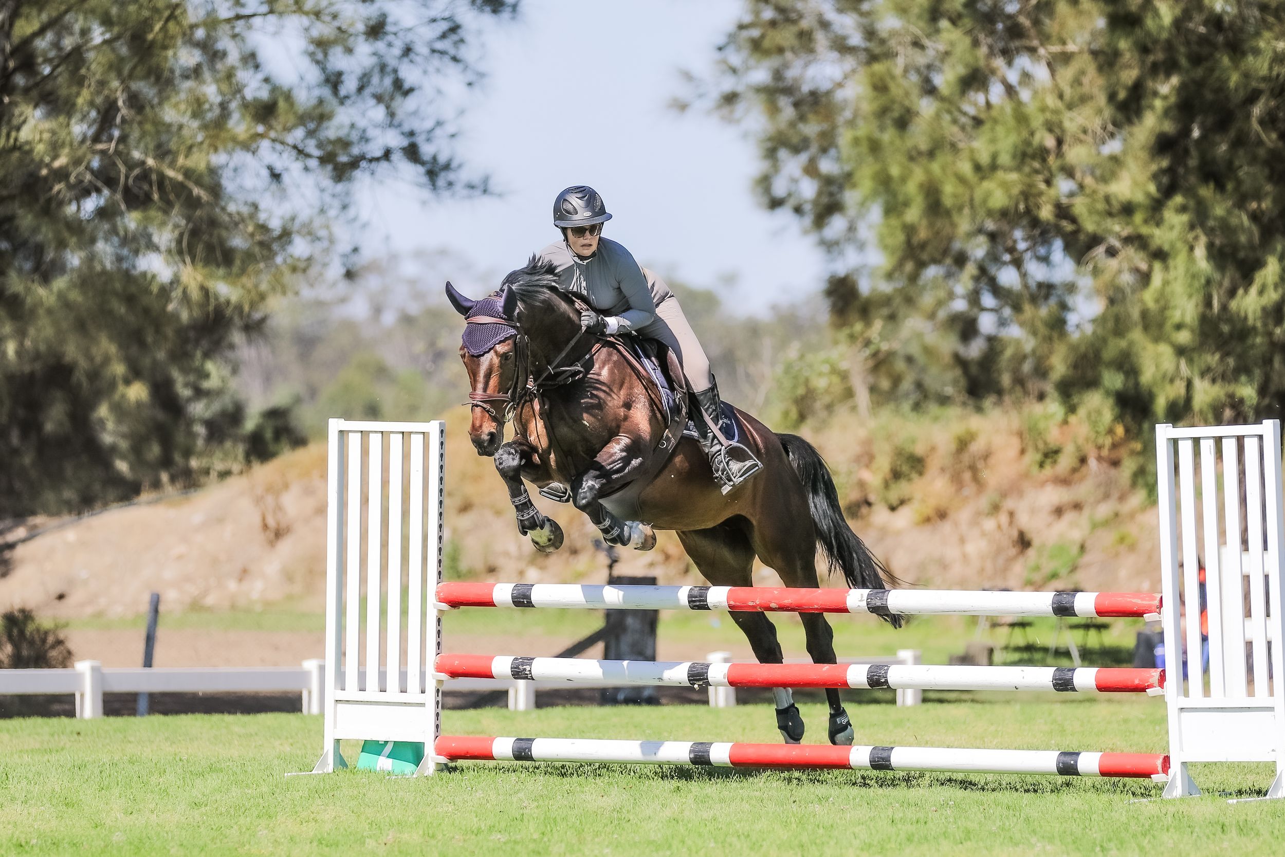 Equestrian photography.