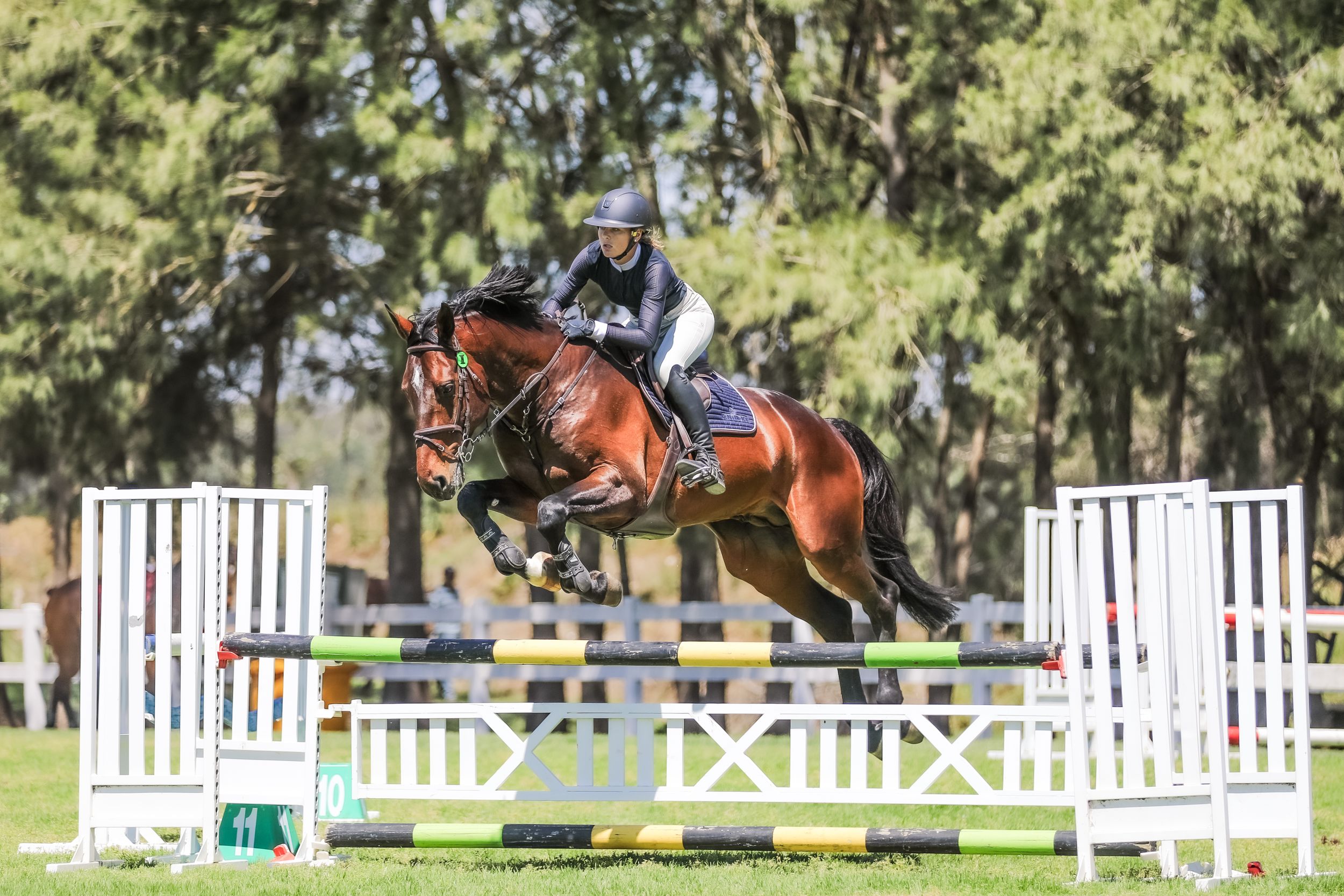 Equestrian photography.