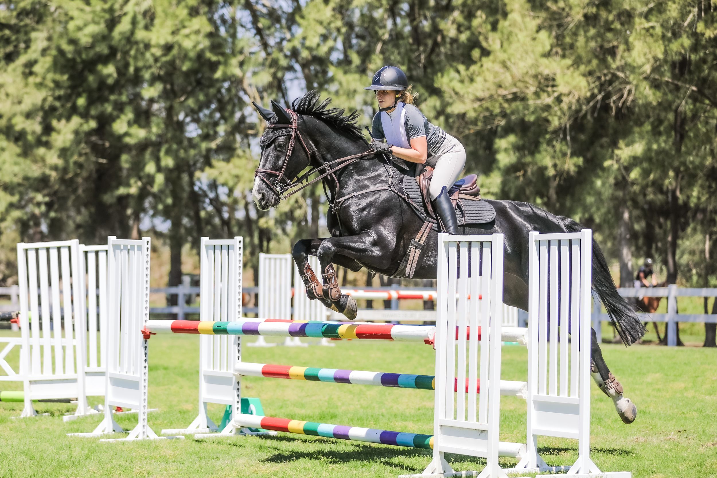 Equestrian photography.