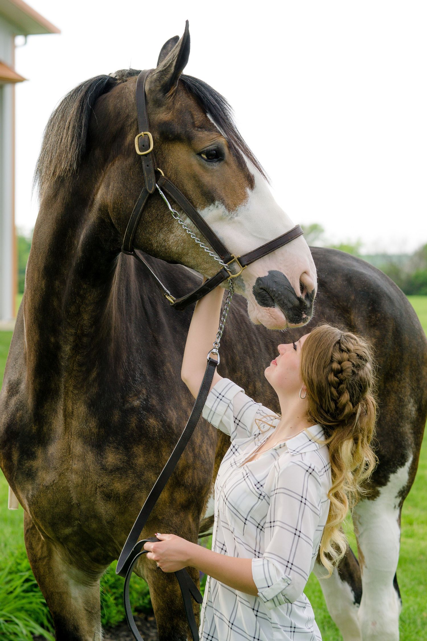 A horse and rider share a tender moment in a green field.