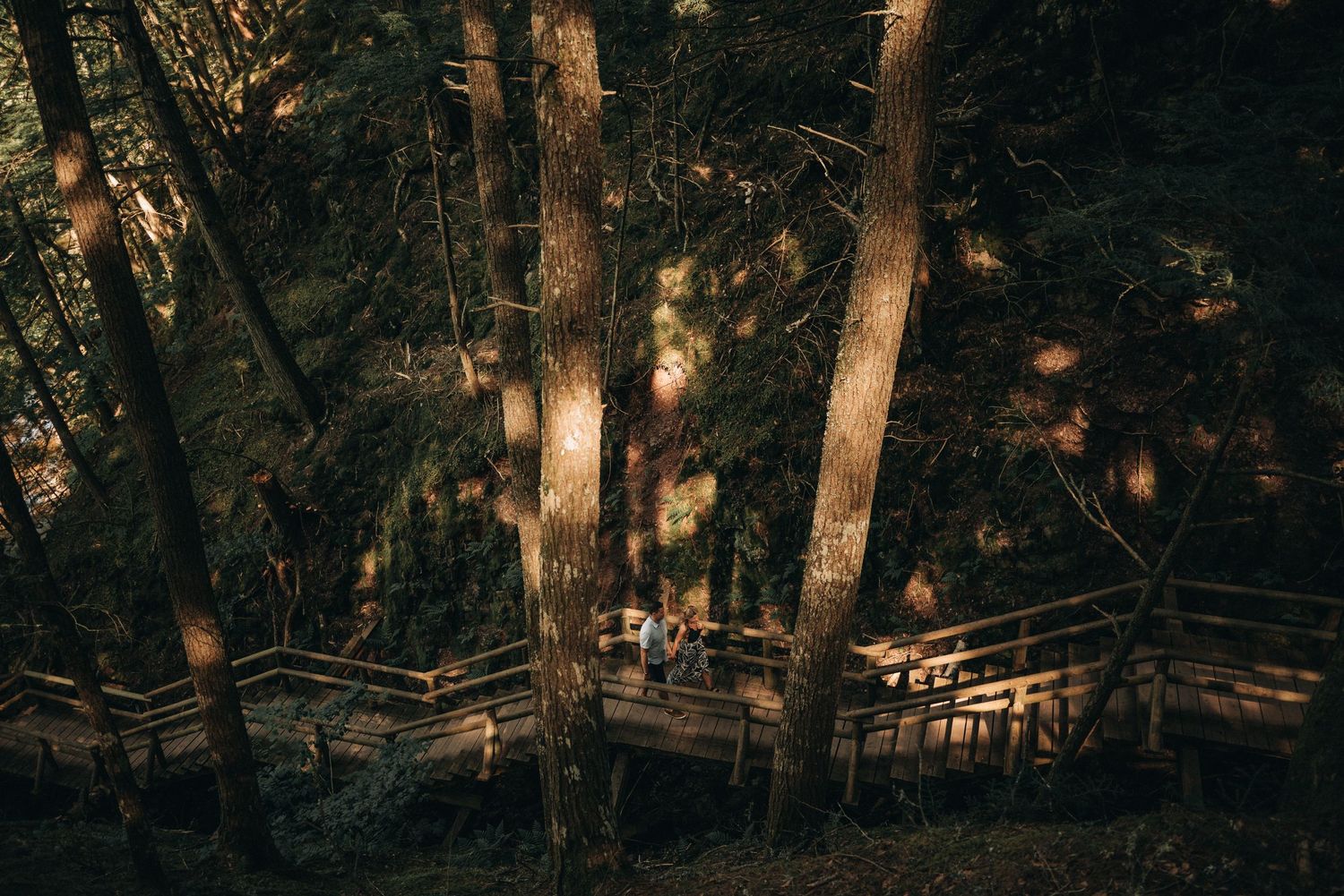Wooden stairs wind through a mystical forest bathed in golden sunlight.