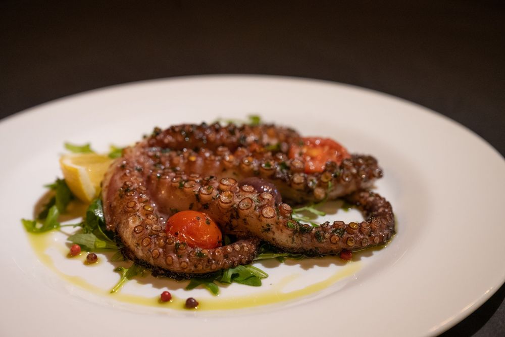 Elegant plated meat dishes with colorful garnishes on white restaurant plates.