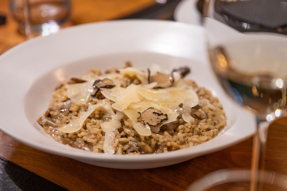 Close-up of creamy pasta dishes garnished with shaved parmesan and herbs on white plates.