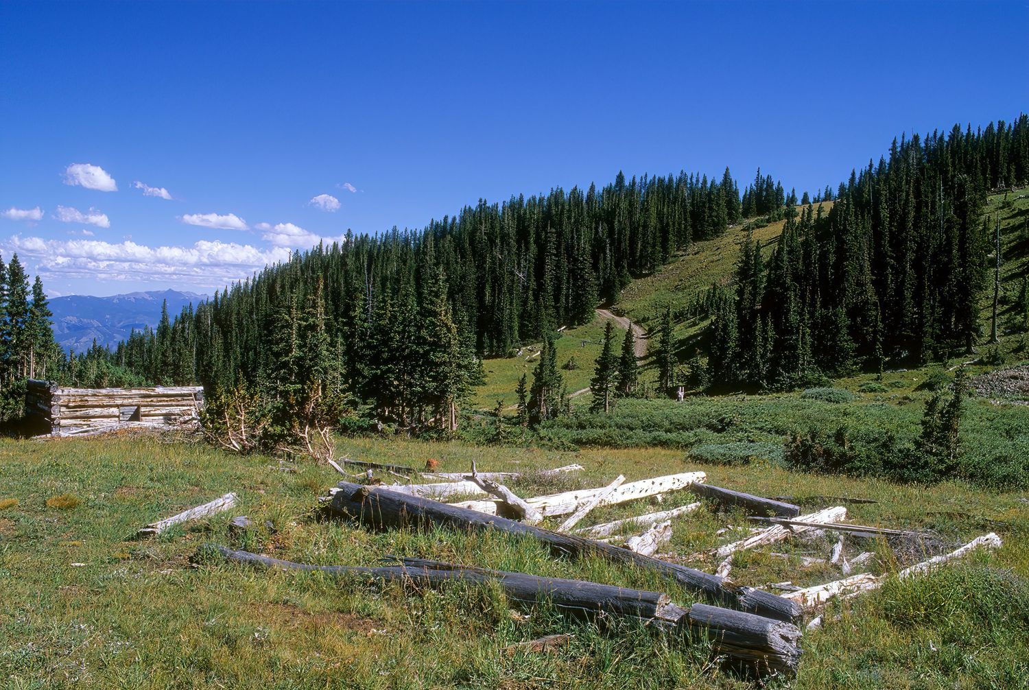 Cree's Camp, Colorado
