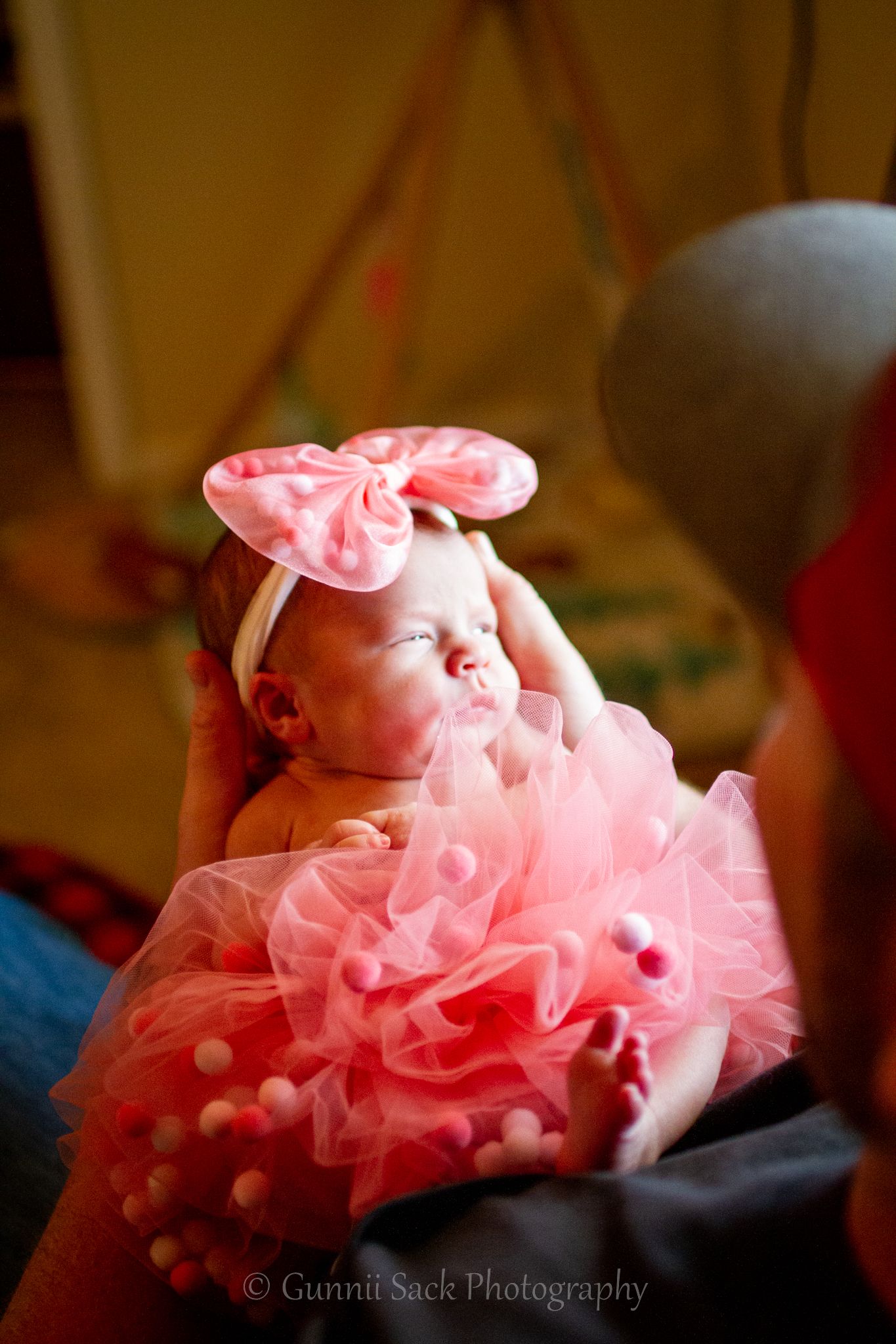 gunnii sack photography, calaveras county photographer, newborn session, dad and daughter, pink, tutu